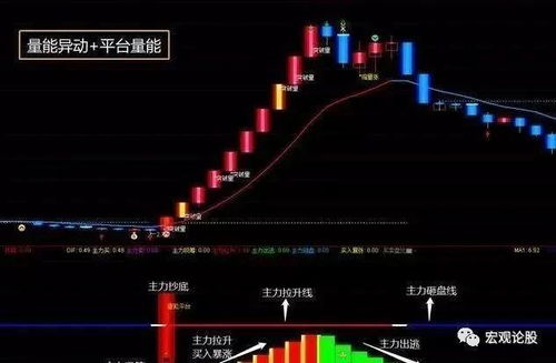 教你如何看股票指标分析