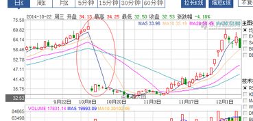 除息股票如何