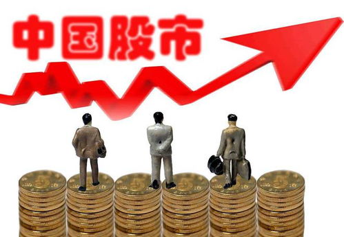 如何买了股票不看