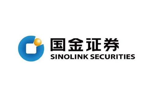 国金证券美化包怎么用