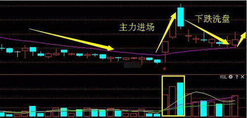 股票如何线下认购 股票如何线下认购
