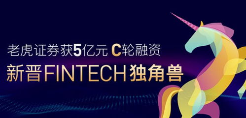 老虎证券融资怎么操作 老虎证券融资怎么操作