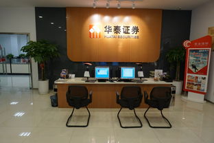新组建证券营业部怎么样