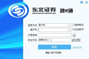 东北证券怎么交易