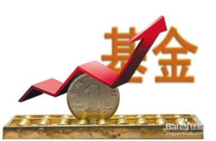 股票基金如何买