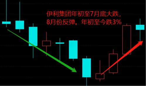 证券的怎么不能炒股