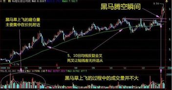 如何找到股票上的黑马