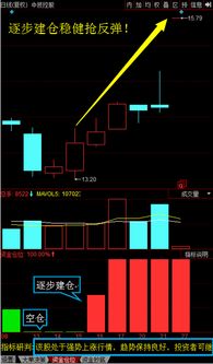 股票如何逐步建仓