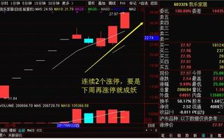 每股公积金如何选股票 每股公积金如何选股票