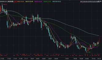 海信视象股票前领如何 海信视象股票前领如何