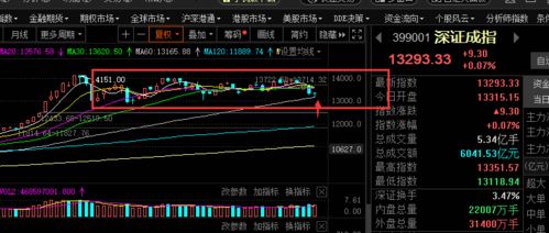 如何选创业板龙头股票