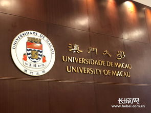 澳门证券公司待遇怎么样