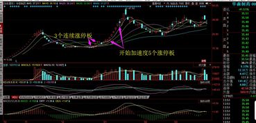 如何能买到涨停的股票