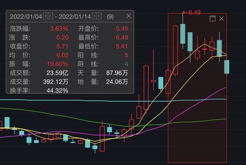 如何看待两只股票的差异