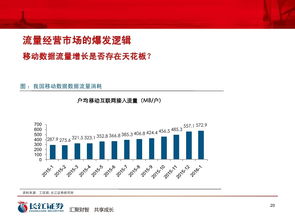 证券流量费怎么查