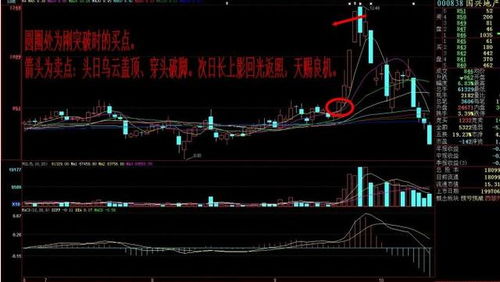 如何每月选中牛股股票