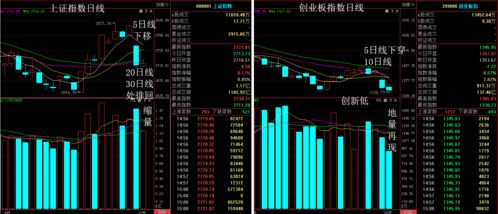 如何查股票开户进度最新