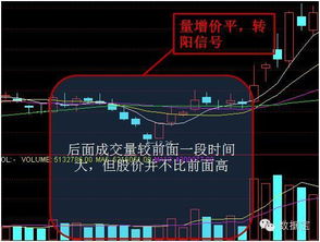 如何提高股票水平