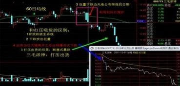 散户如何守住股票