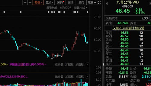 股东如何拥有股票