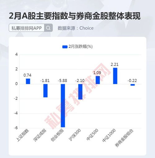如何申请3字头股票基金