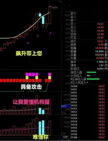 通达信如何添加股票