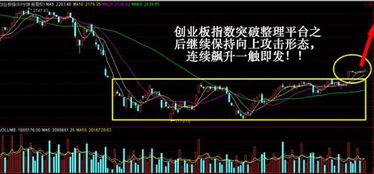 大行情里如何抓龙头股票