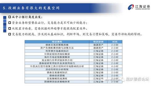 江海证券债务怎么配置