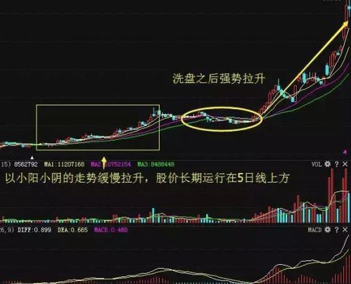 如何选股票投资分析