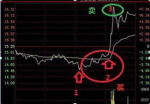 一万块钱如何分三份股票