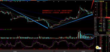 股市指数如何投资股票 股市指数如何投资股票