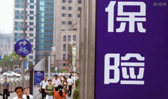 满仓持有证券保险怎么样 满仓持有证券保险怎么样