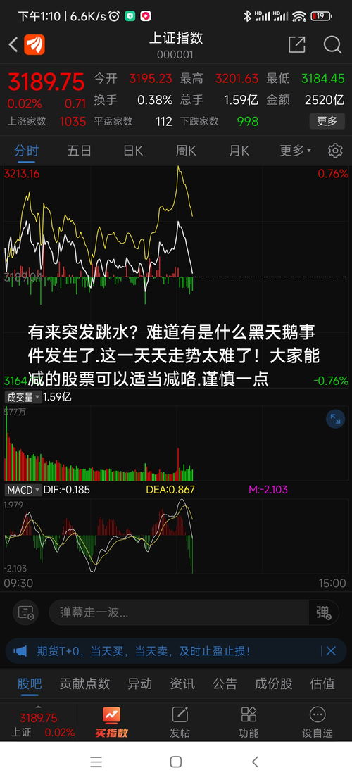 如何操作黑天鹅股票账户 如何操作黑天鹅股票账户