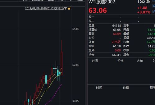 如何操作黑天鹅股票账户 如何操作黑天鹅股票账户