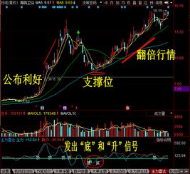 股票如何修炼持股心态