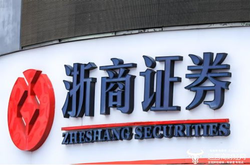 浙商证券怎么交易
