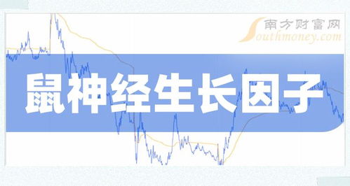 如何在股票上生存成长