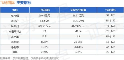 飞马国际前景如何股票 飞马国际前景如何股票