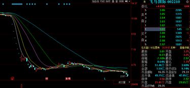 飞马国际前景如何股票 飞马国际前景如何股票
