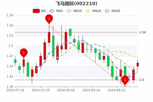 飞马国际前景如何股票 飞马国际前景如何股票
