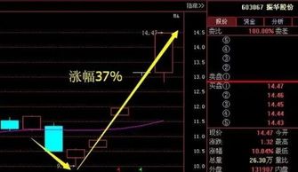 如何通过收益看股票走势
