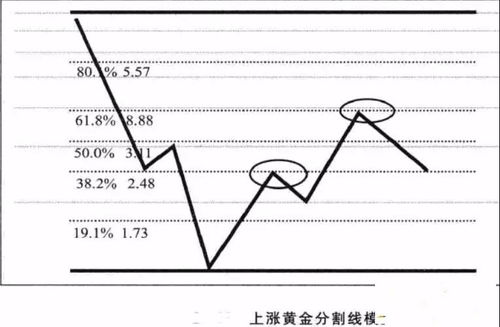 证券黄金分割线怎么画的