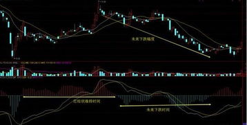 股票指标如何快速学会