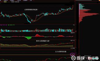 分化格局如何做主线股票