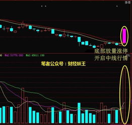 股票如何属基建