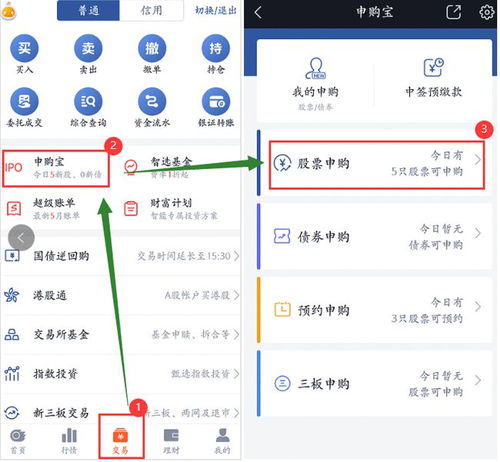 国信证券怎么申购新股