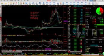 开证券怎么炒股 开证券怎么炒股