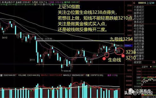 股票反抽如何看