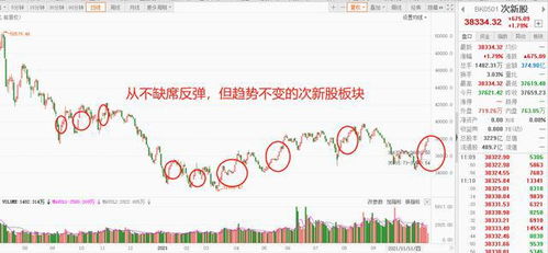 双11股票投资价值如何