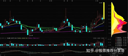 西部证券如何搜索股票